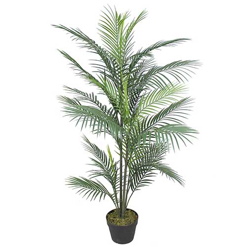 Planta Artificial Palmera Areca 1.20mt