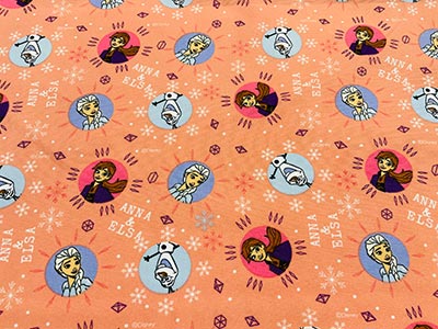 Frozen Salmón 1093-02