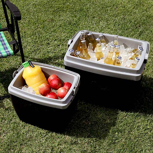 Conservadoras 34Lt. Mor