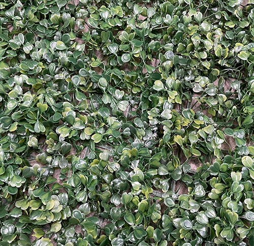 Enredadera Artificial 40x60cm De Plástico