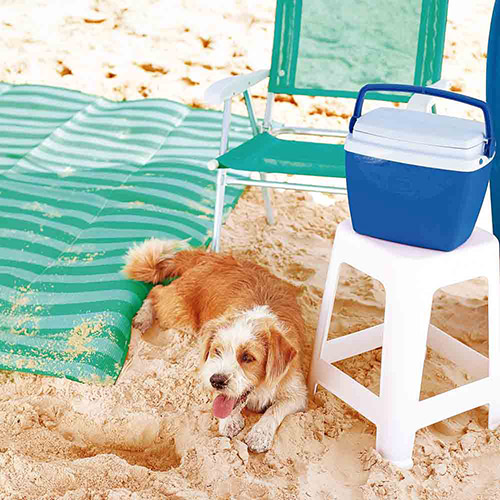 Conservadoras 6lt. Mor