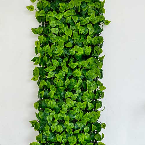 Enredadera Plástica Extensible