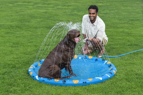 Parque Acuático Para Mascotas Bestway 52699