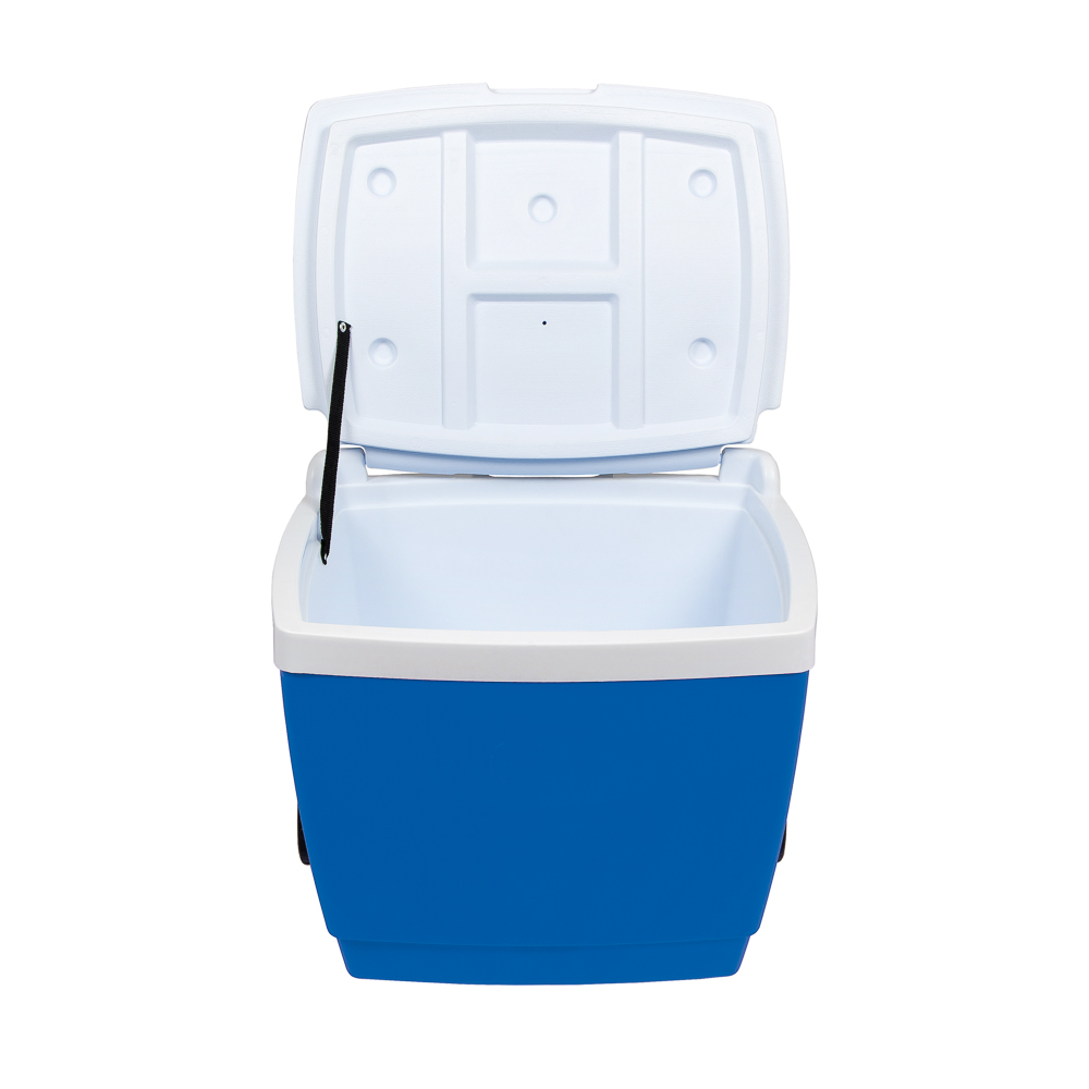 Conservadoras 42Lt. Con Rueditas Mor