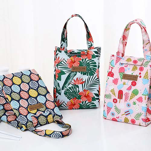 Lunchera Bolso Diseños