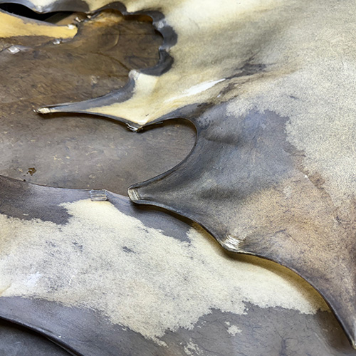 Lonja De Potro Venta x M2