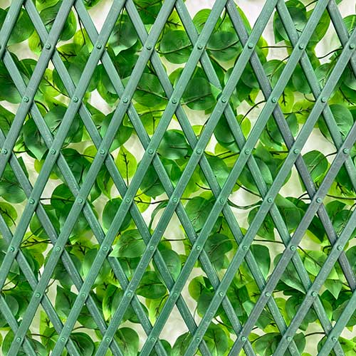 Enredadera Plástica Extensible