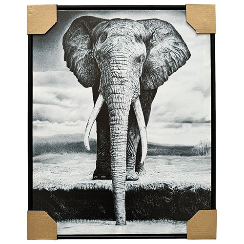 Cuadro Decorativo 40x50 Elefante Marco Negro