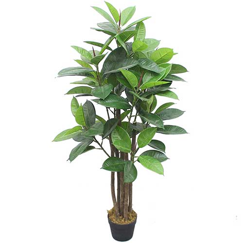 Planta Artificial Gomero 1.20mt