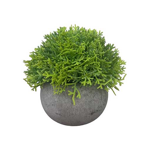 Planta Artificial Arbusto Fino