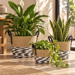 Canastos Decorativos Con Asas Set x 3 Byn BXCB-5
