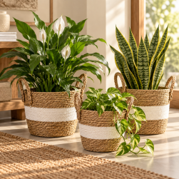 Canastos Decorativos Set x 3 Franja Blanca