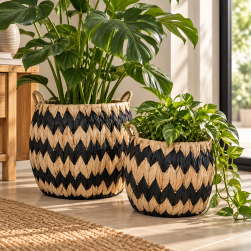 Canastos Decorativos Set x 2 Con Asas BXCB-4