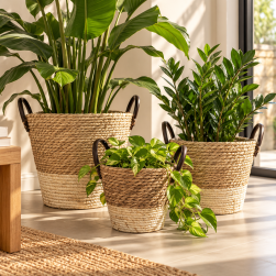 Canastos Decorativos Con Asas Set x 3 BXCB-6