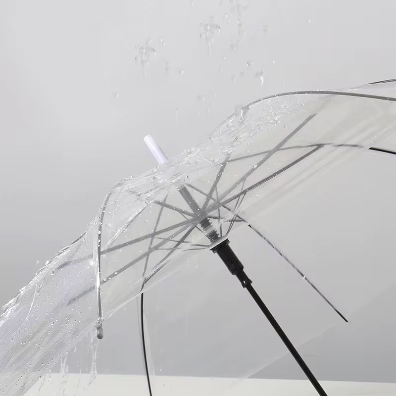 Paraguas Transparente