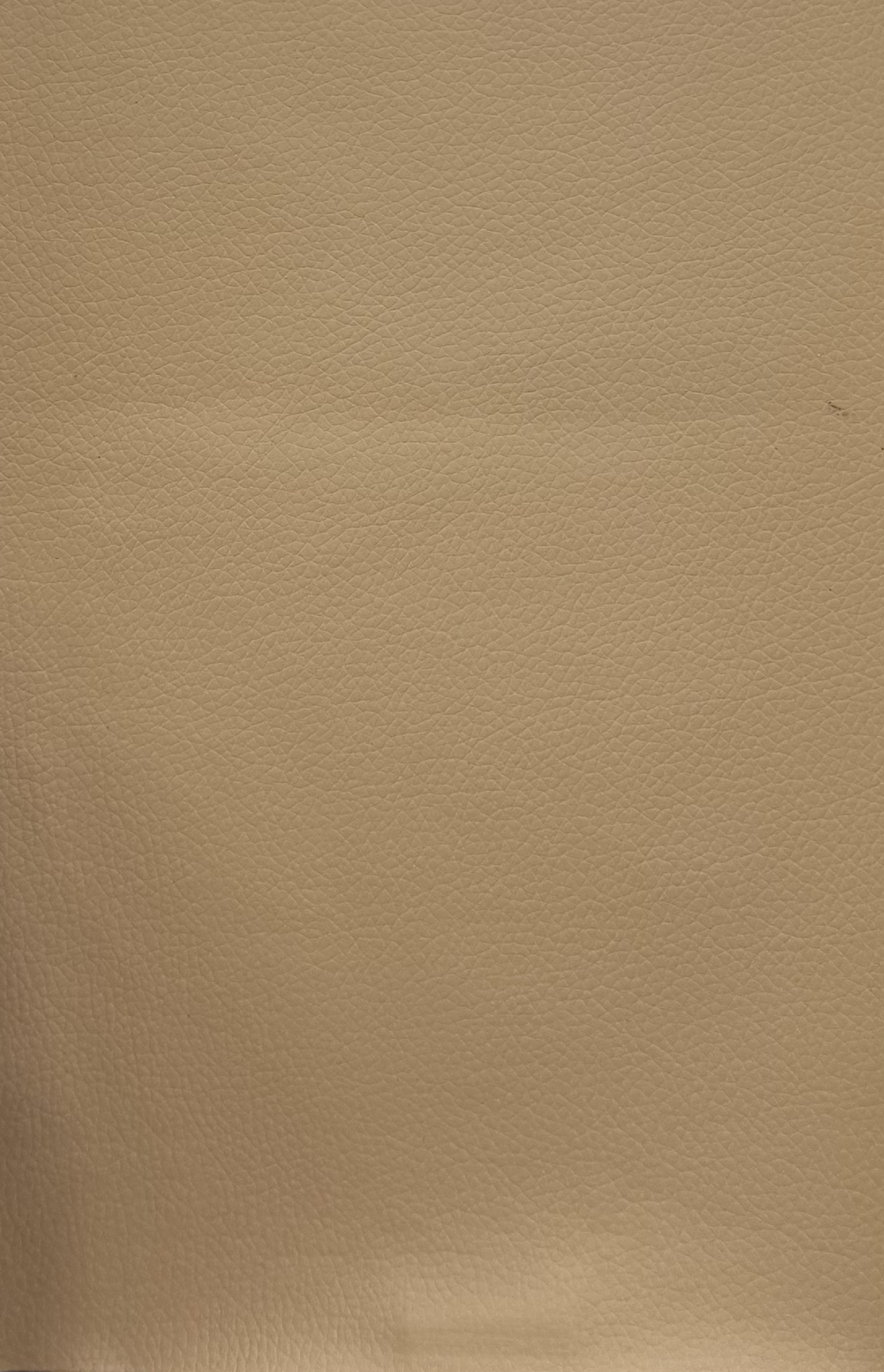 Ecocuero Adhesivo Beige Rollo 50x137