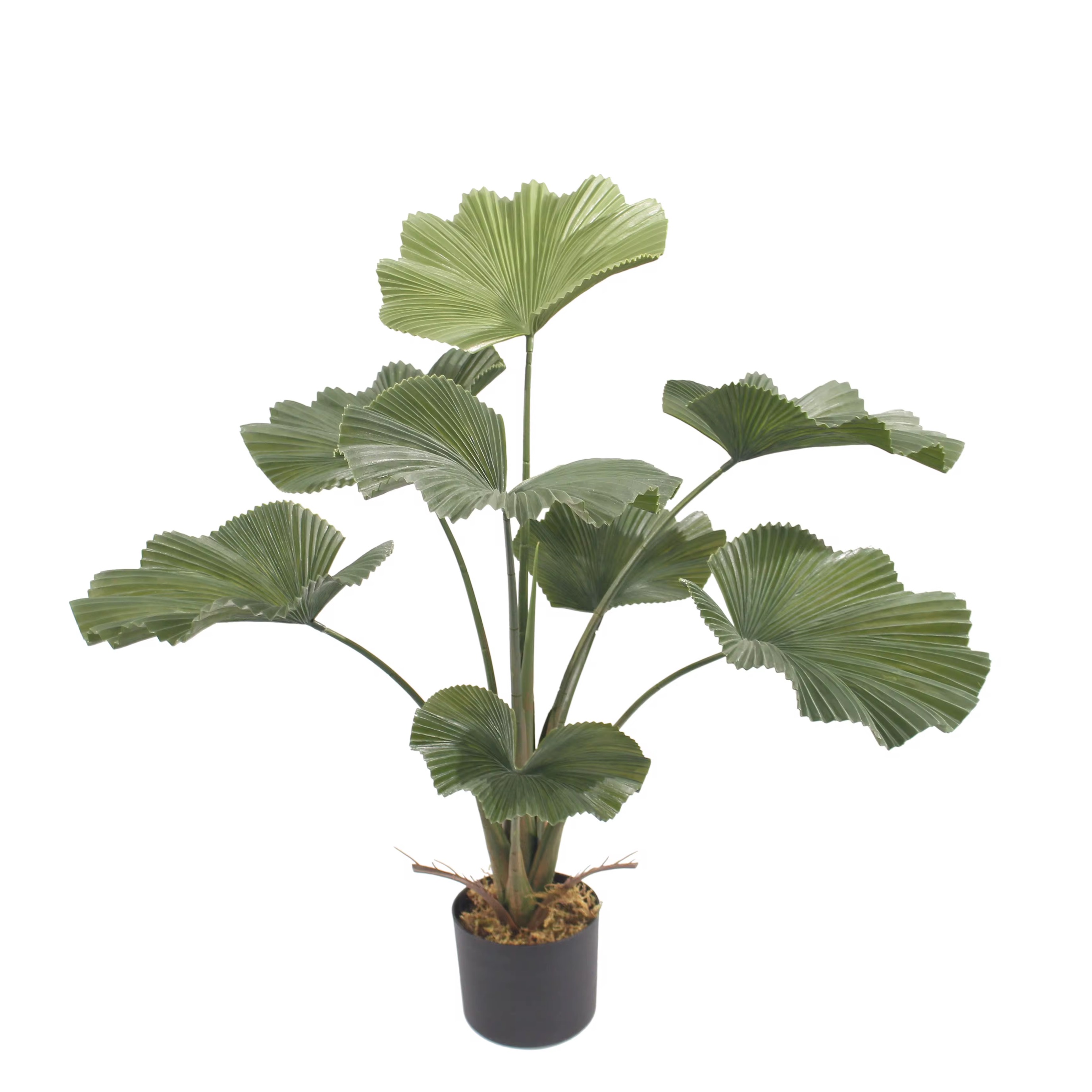 Planta Artificial Licuala 90cm