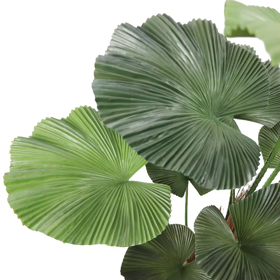 Planta Artificial Licuala 90cm