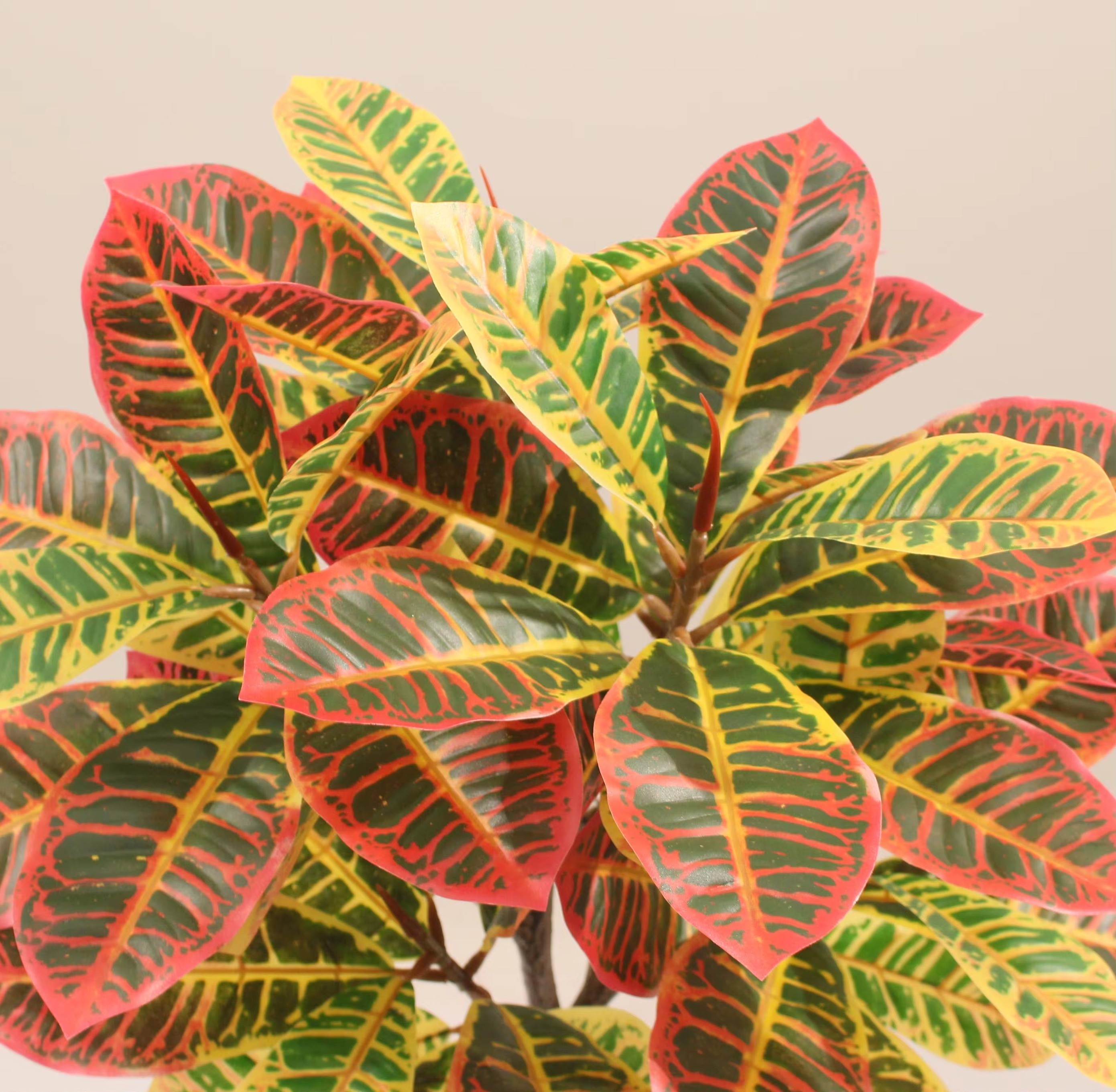 Planta Artificial Croton 1.20mt