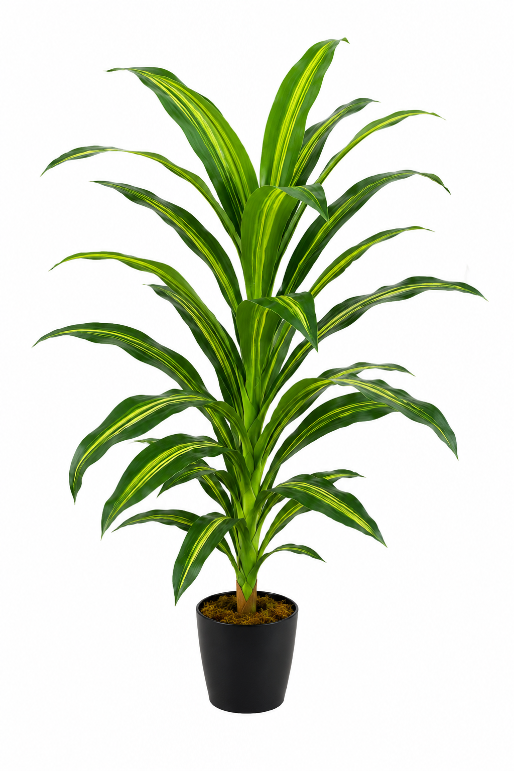 Planta Artificial Dracena Lemon Lime 1.50mt