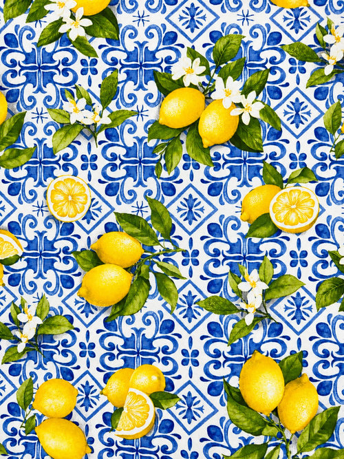 Loneta Estampada Treviso Azul 2.80