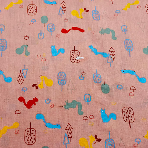 1016-3 Ardillas Salmón