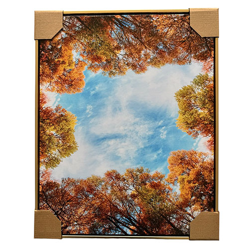 Cuadro Decorativo 40x50 Otoño Marco Dorado