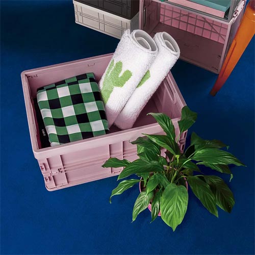 Caja Organizadora Plegable Chica Mor