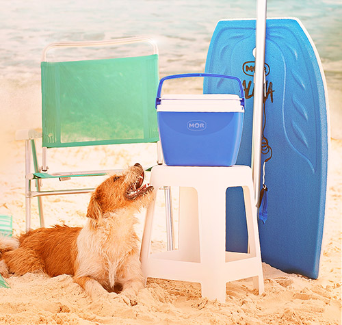 Conservadoras 6lt. Mor