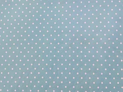 680040 Bolinhas Turquesa