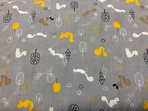 1016-2 Ardillas Gris